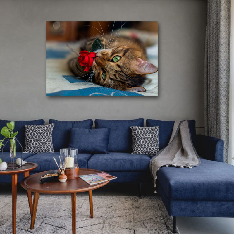 Πίνακας σε καμβά Γάτα με κόκκινο τριαντάφυλλο